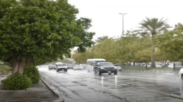 الشرقية تتقدم في كميات الأمطار بـ31 ملم عبر السعودية